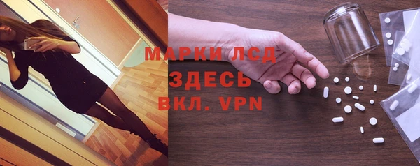 стафф Арсеньев