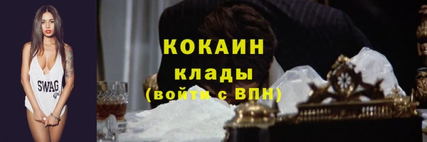 стафф Арсеньев