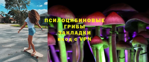 дмт Армянск
