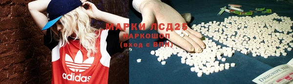прущие крисы Аркадак