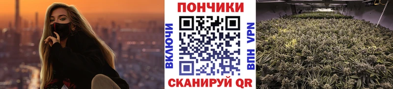 закладки  Поронайск  Канабис гибрид 